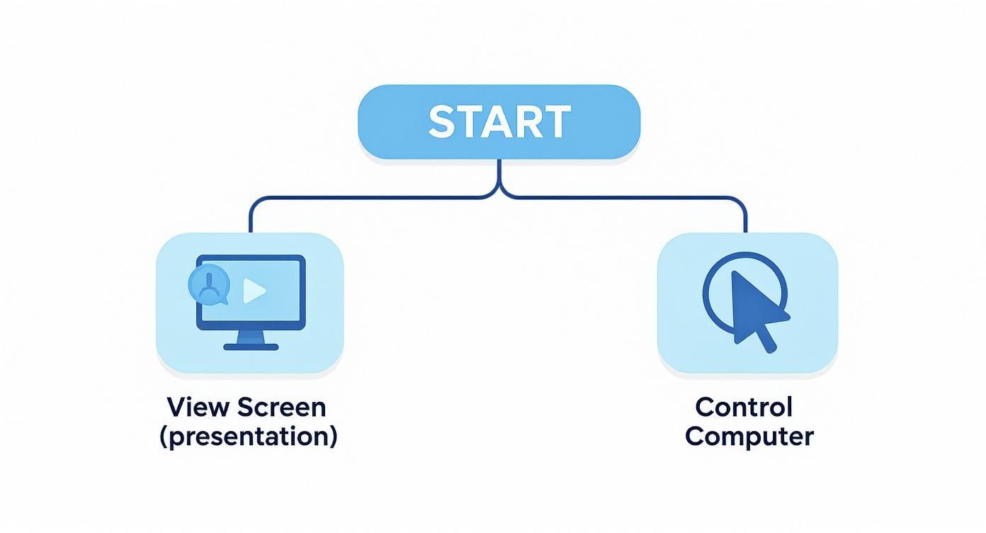 Infographic about remote access screen share